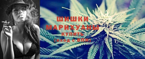 mdpv Богданович